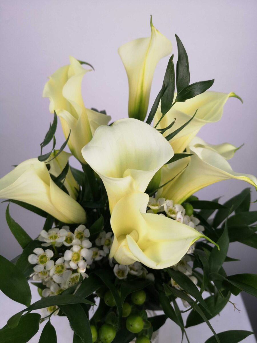 Charming Calla Lily - Image 2