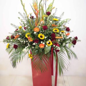 Auspicious Grand Opening