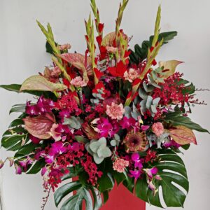 Prosperity Grand Opening