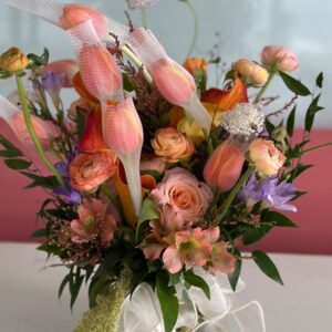 Vibrant Orange & Yellow Tulip