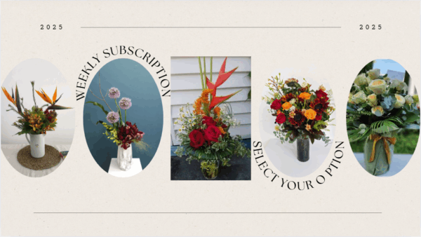 Weekly Subscription Plans